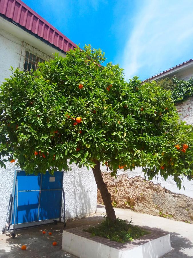 Mediterraneo Carihuela - Torremolinos Exterior foto